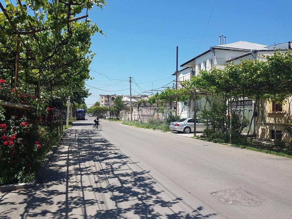 Nitsa Guest House Gori Dış mekan fotoğraf